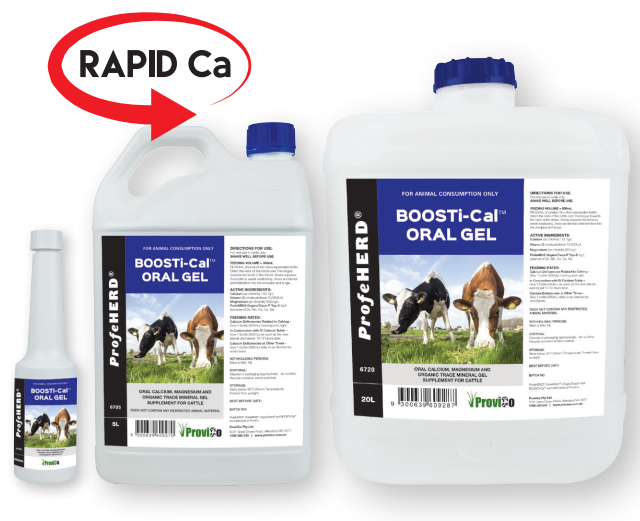 Common mineral deficiencies in cattle and treatments – ProviCo Rural