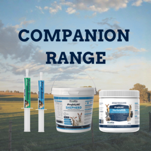 Companion Animal Range