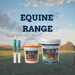 Equine Range