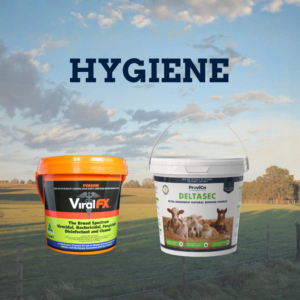 Hygiene