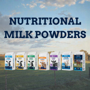 Nutritional Milk Powders
